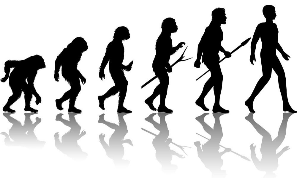 Η θεωρία της εξέλιξης έρχεται σε αντίθεση με την Αγία Γραφή;