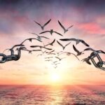 Και άφες ημίν τα οφειλήματα ημών, ως και ημείς αφίεμεν τοις οφειλέταις ημών